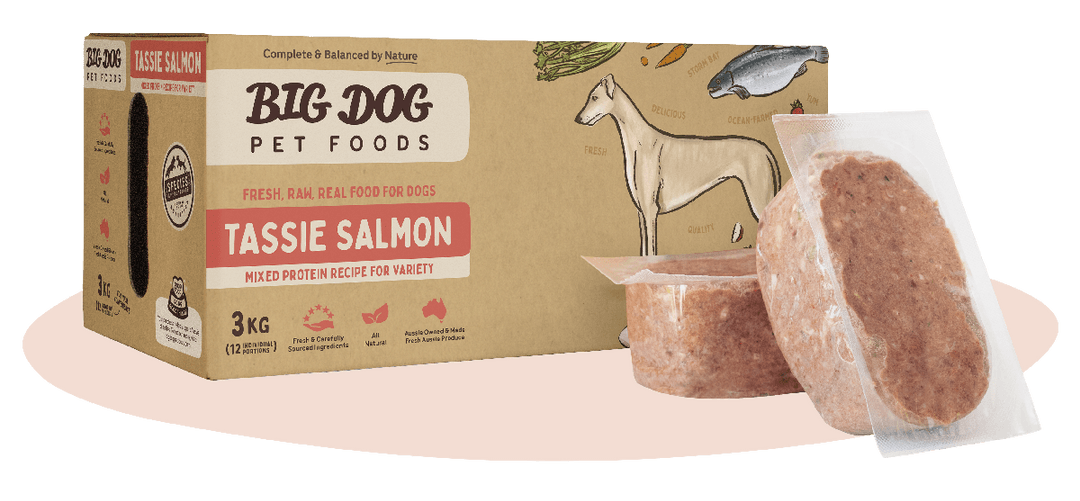 Big Dog Tasmanian Salmon 3Kg