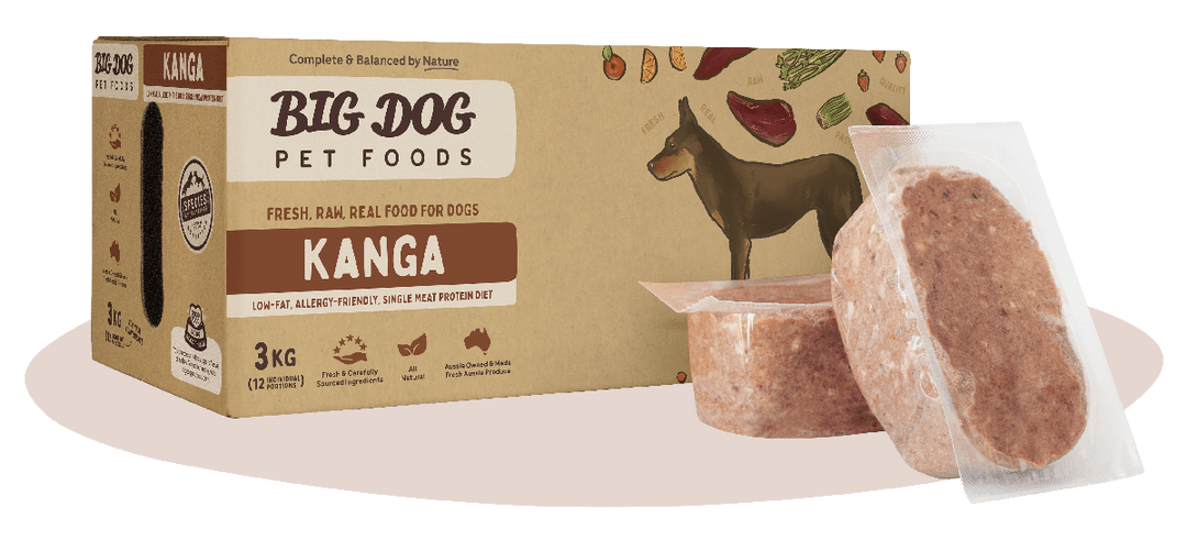 Big Dog Kanga Low Allergy Single Protein Raw Diet 3Kg