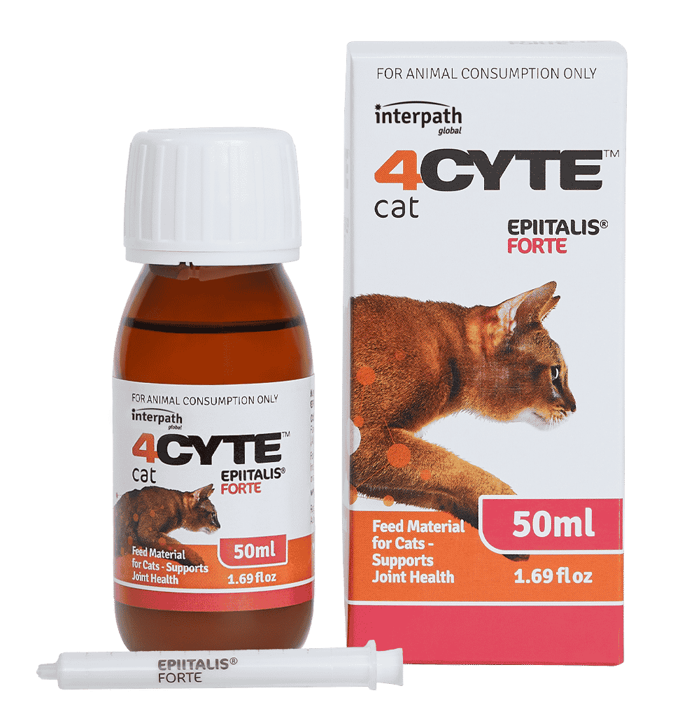 4Cyte Feline Forte Gel