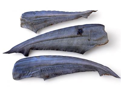 Air Dried Shark Tail 25 - 35cm