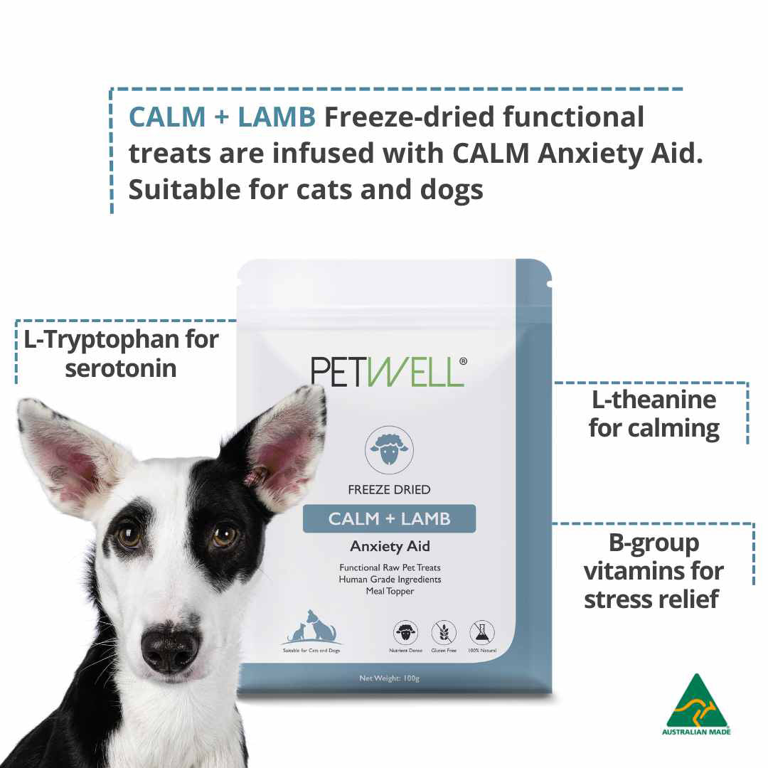 PetWell Freeze Dried Calm & Lamb - Anxiety Aid
