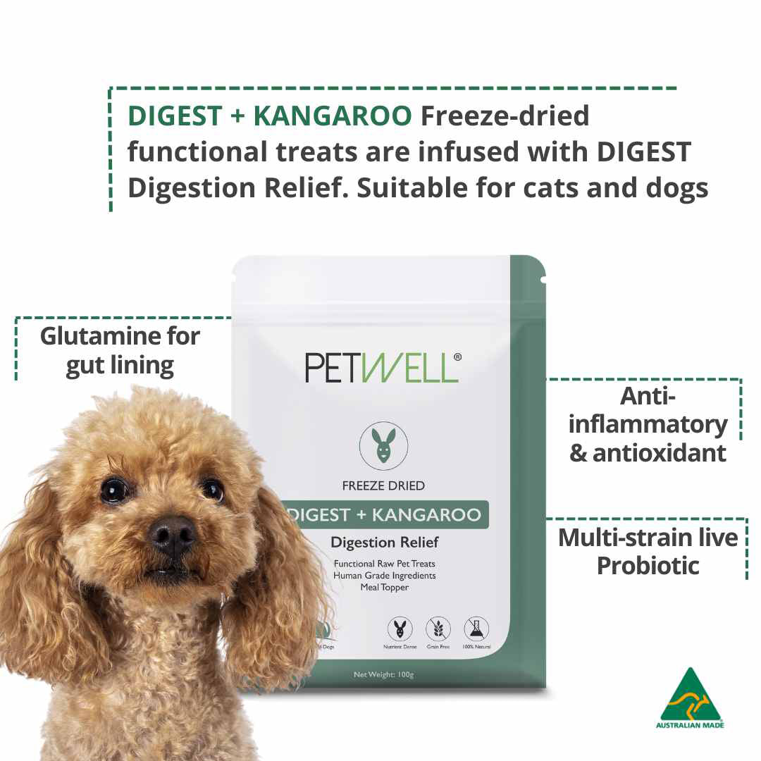 PetWell Freeze Dried Digest & Kangaroo - Digestion Relief