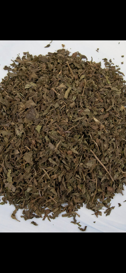 Spearmint Tea Organic
