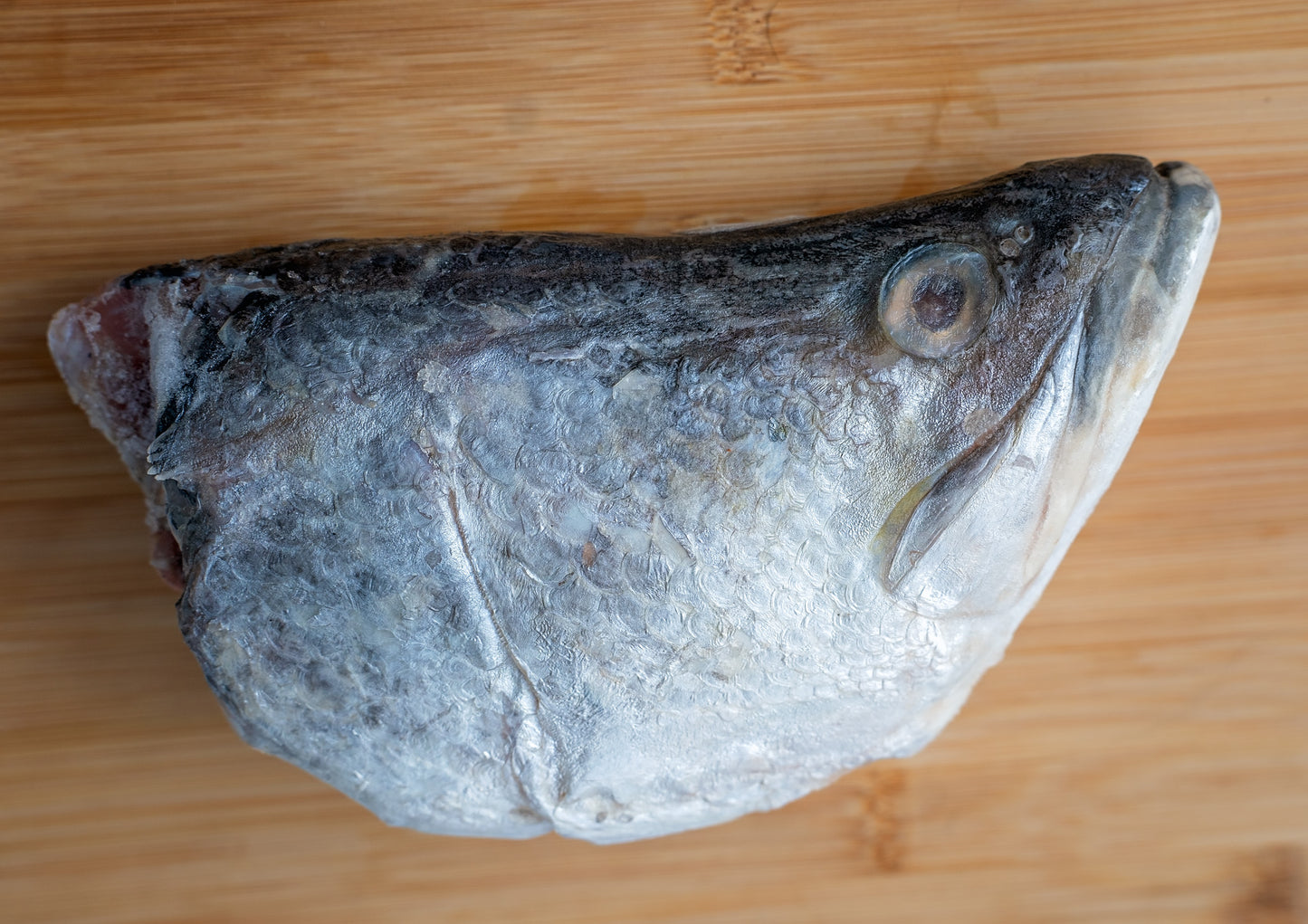 Barramundi Heads Each✅️