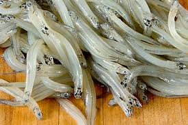 Whitebait 1Kg