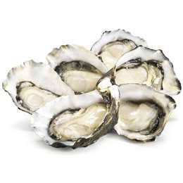 Pacific Oysters Opened (half shell) 1Kg