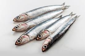 Anchovies 1Kg